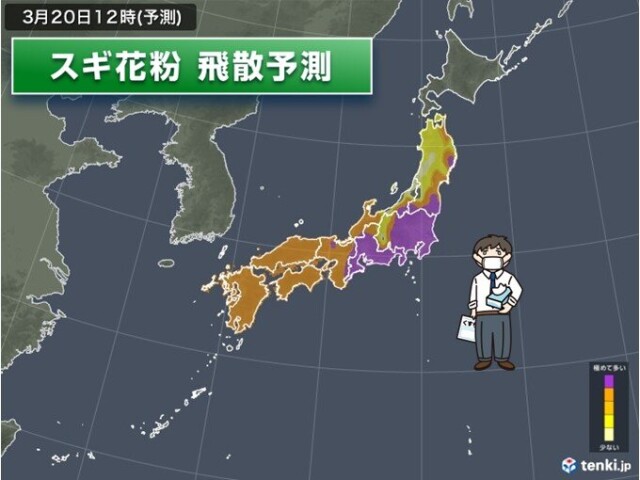 画像C