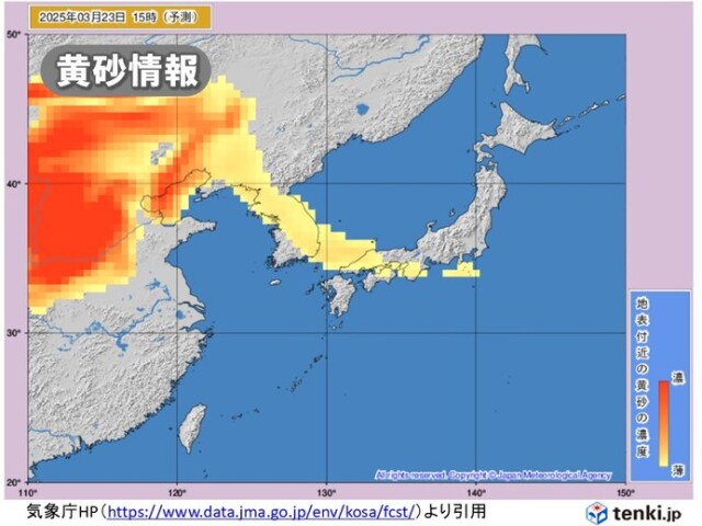 画像B