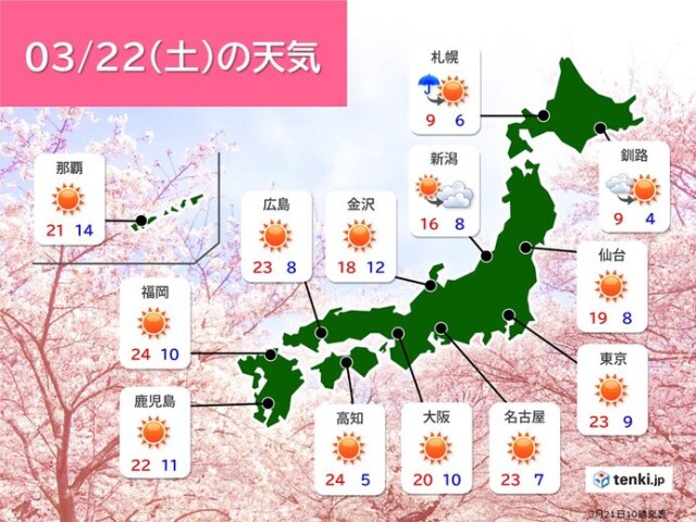画像B
