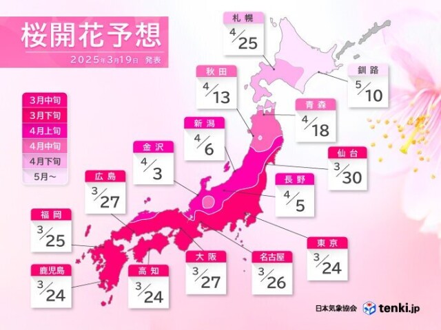画像C