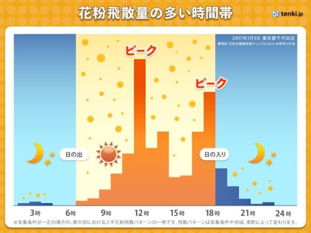 画像B