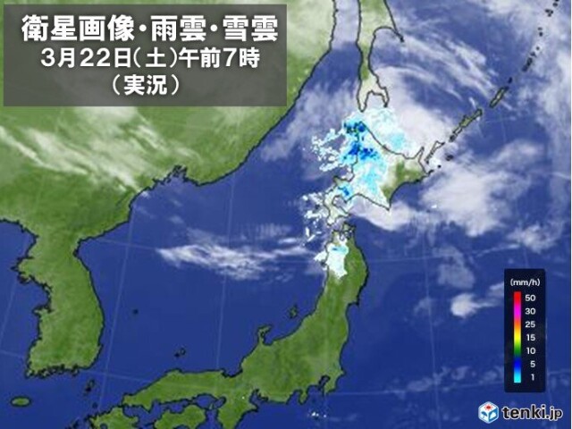 画像B