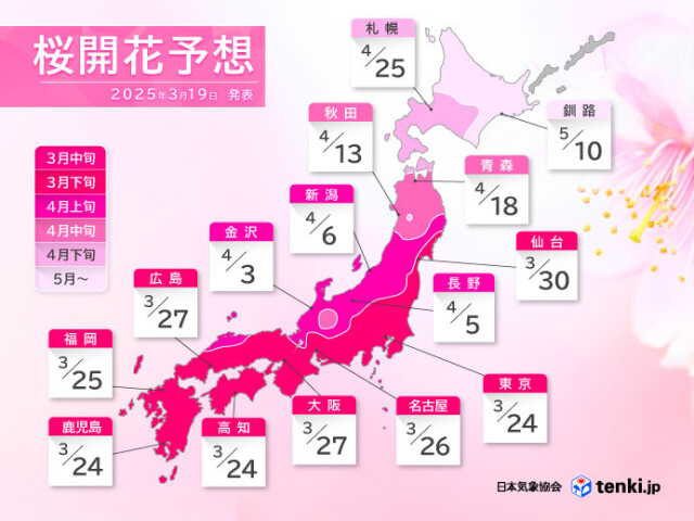 画像C