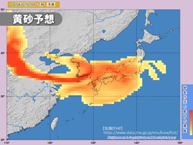 画像C
