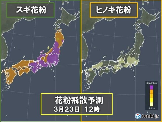 画像A