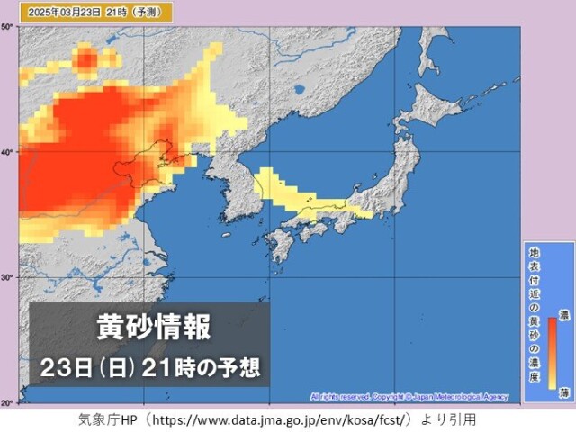 画像B