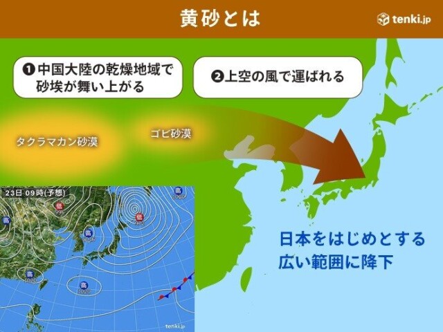 画像A