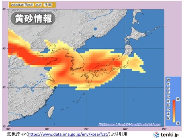 画像B