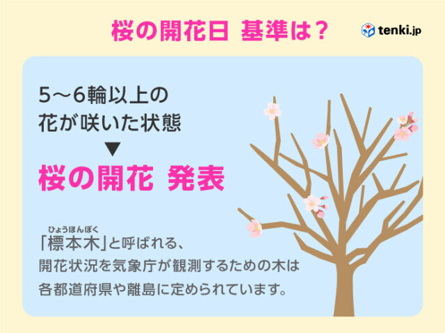画像B