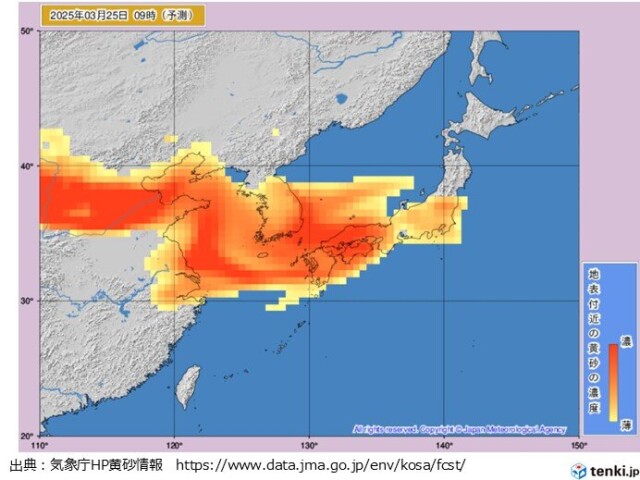 画像A