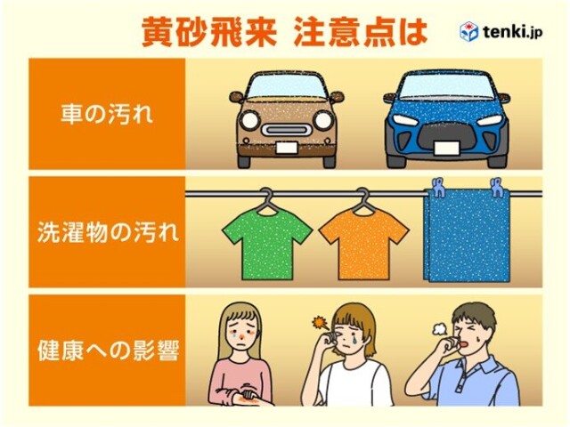 画像C