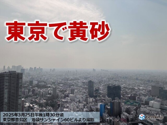 画像A