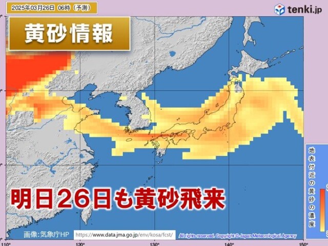 画像B