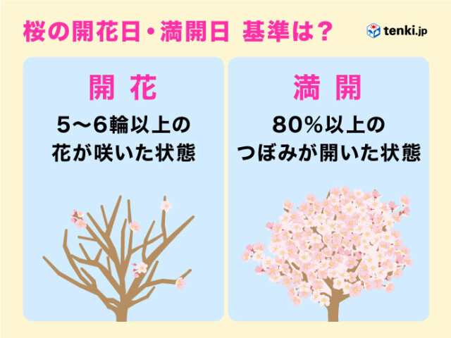 画像C