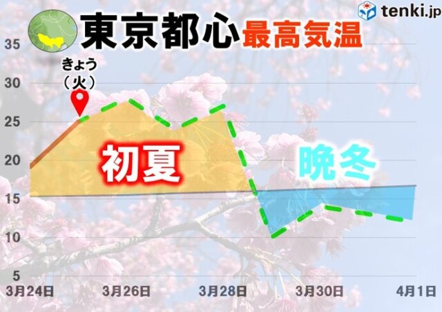 画像D