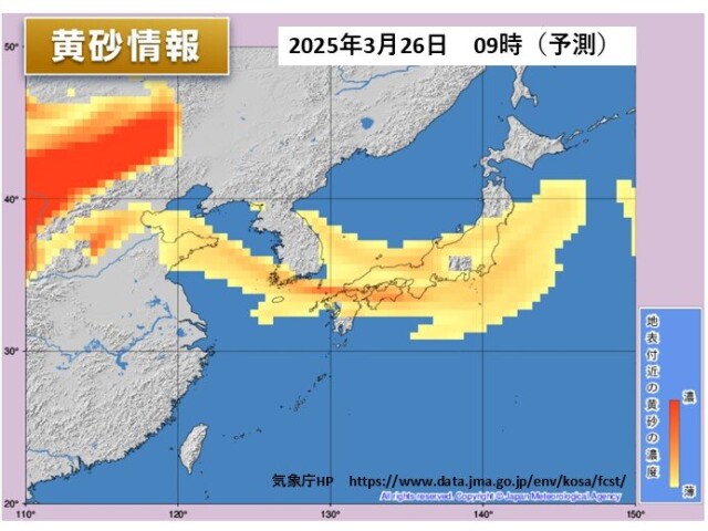 画像B