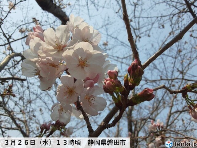 画像A