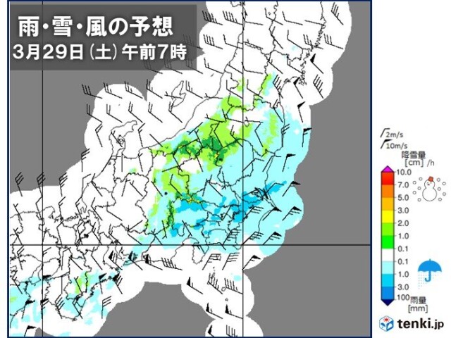 画像B