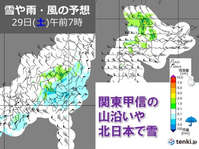 画像B