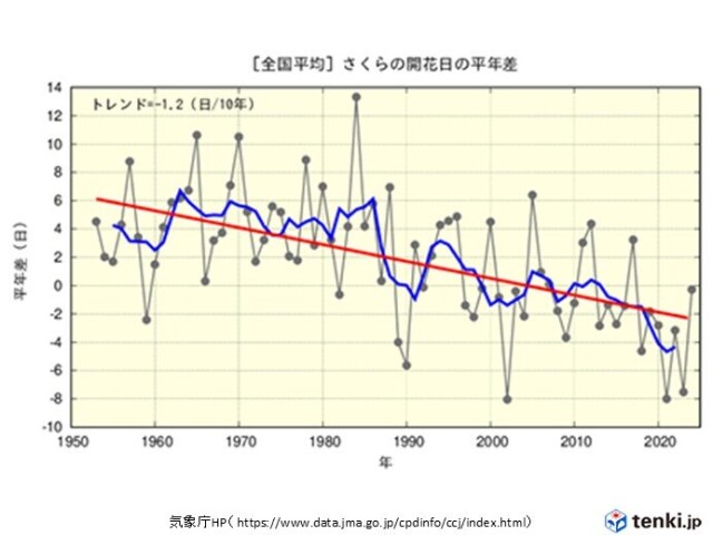 画像C