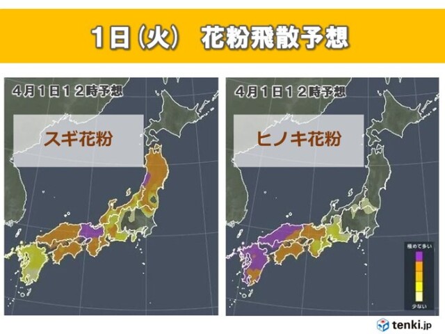 画像A