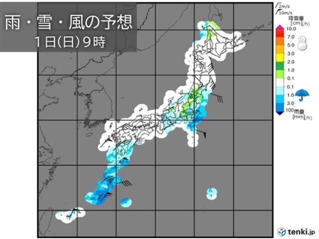 画像A