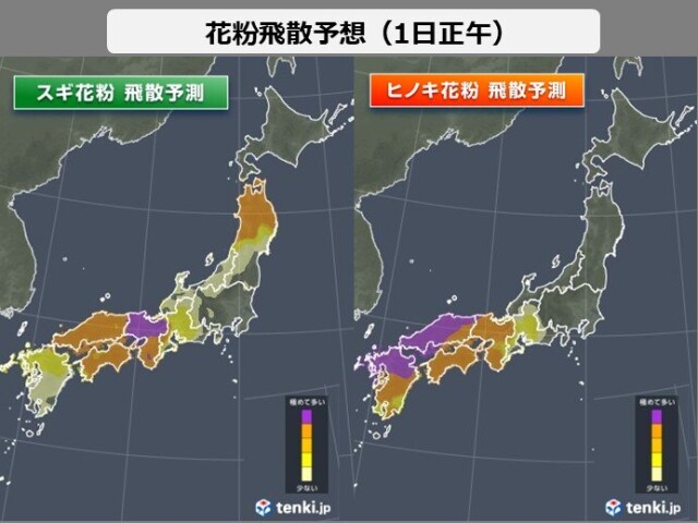 画像A