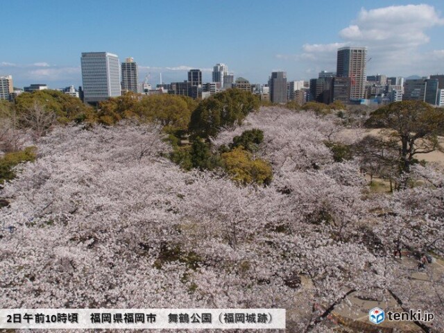 画像B