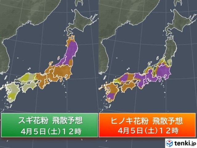 画像A