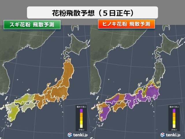 画像A