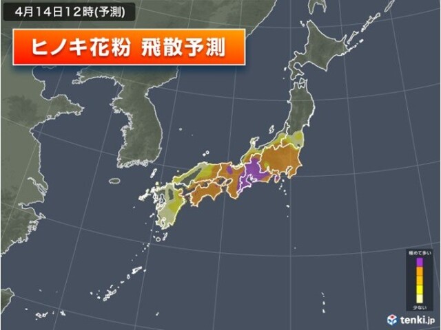 画像A