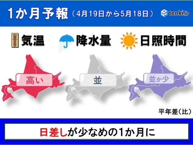 画像B
