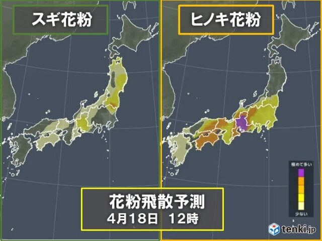 画像A