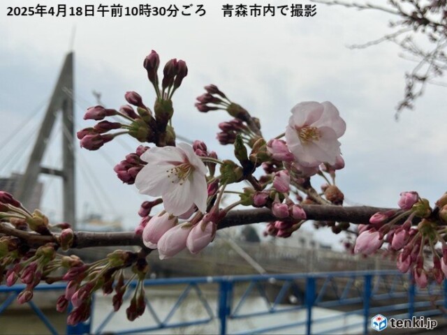 画像B