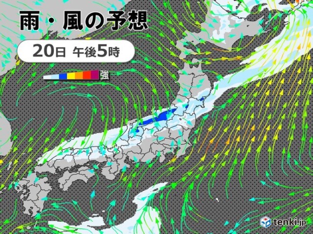 画像B