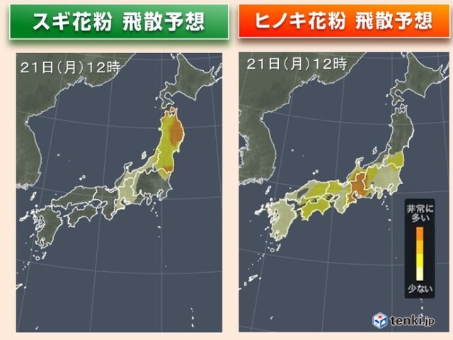 画像A