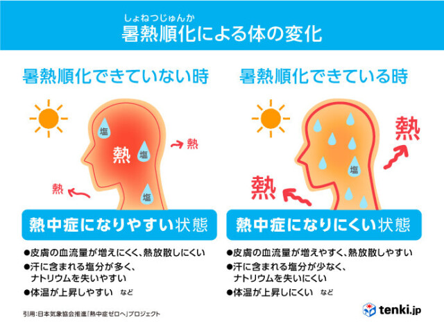画像D