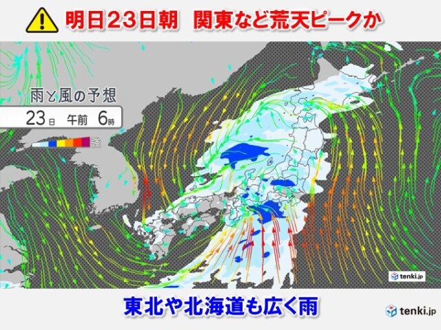 画像B