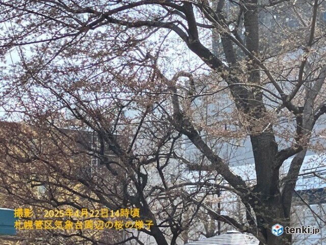 画像A