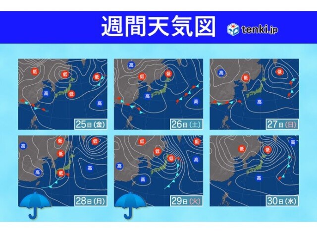 画像C