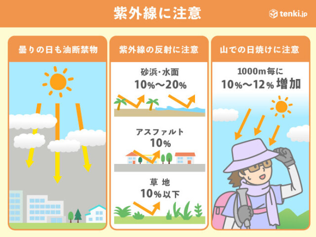 画像C