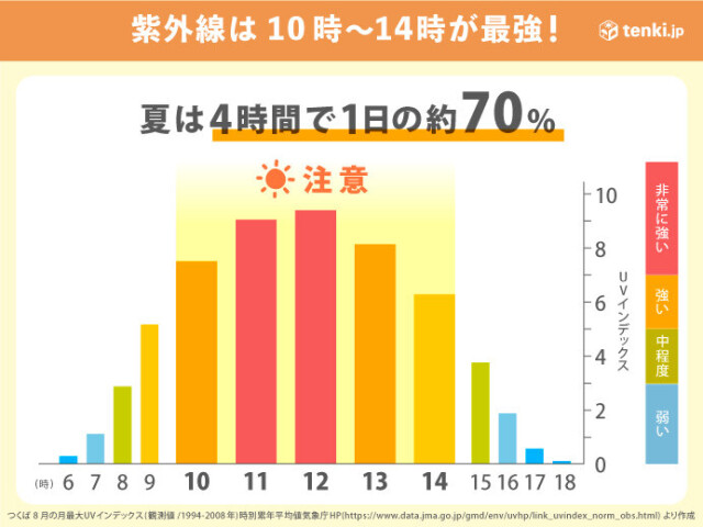 画像D