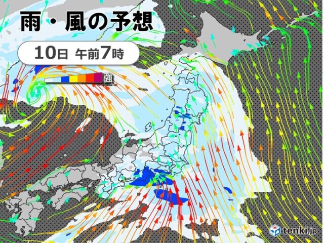 画像D