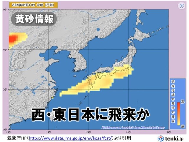 画像D