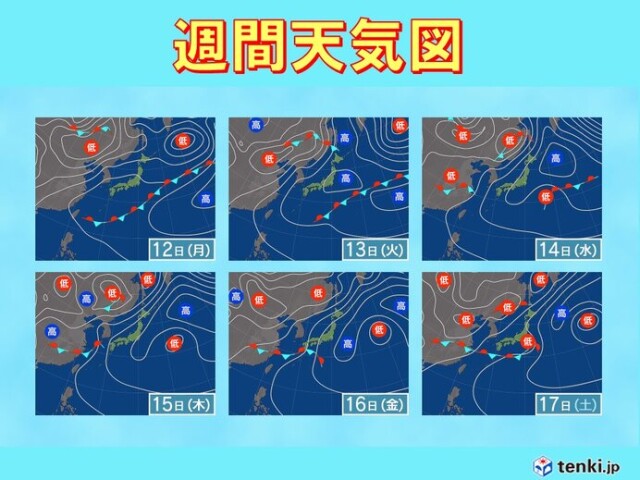 画像D