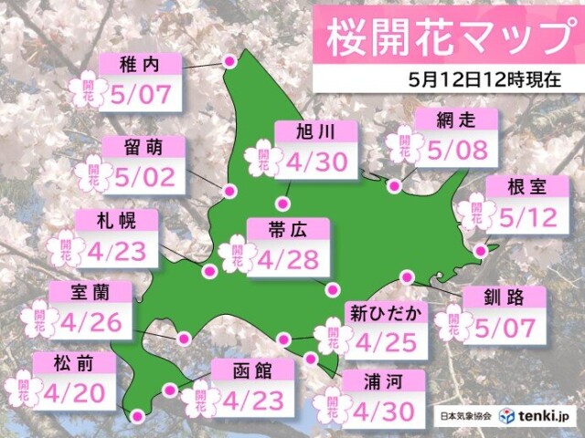 画像A