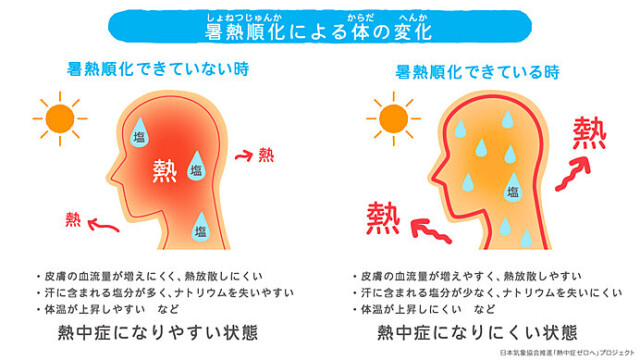 画像C