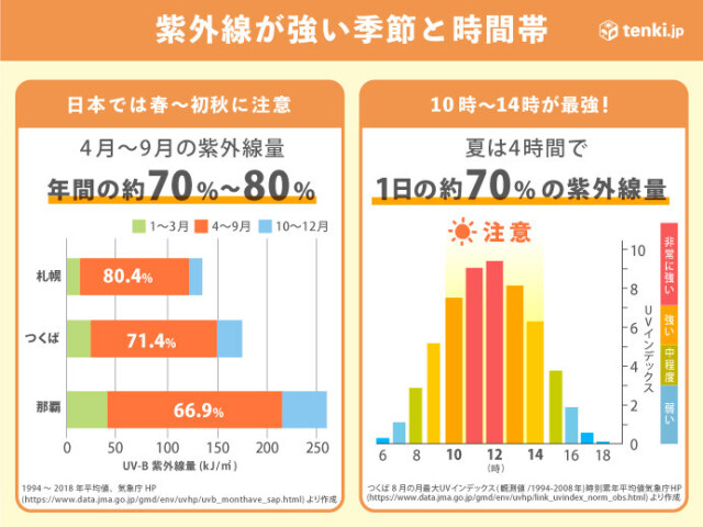 画像C