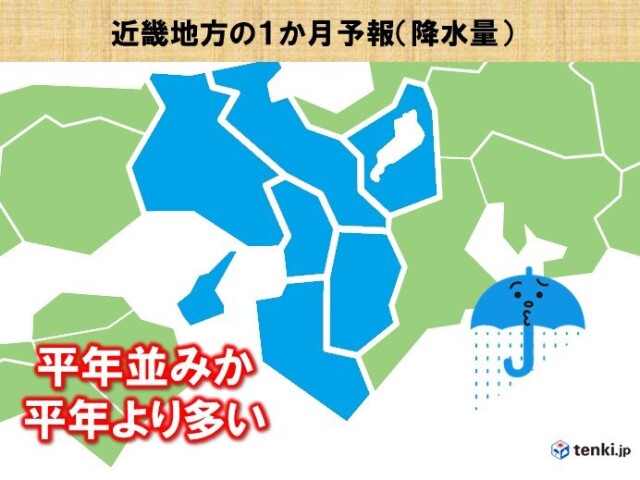 画像B