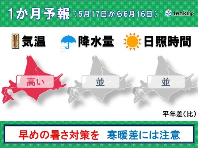 画像B